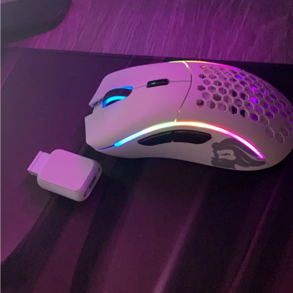 Glorious Model O Wireless mice, works perfectly fine